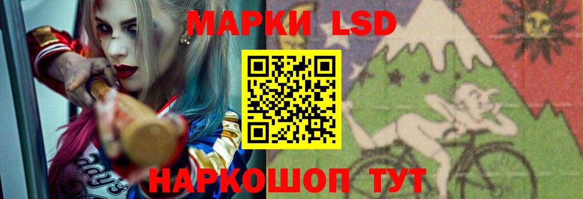 Бердск  Лсд 25 экстази  Лсд 25 экстази ecstasy  Вход с VPN  LSD-25 экстази ecstasy 