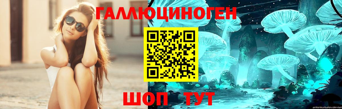 Бердск  Псилоцибиновые грибы Psilocybe  Вход с VPN 
